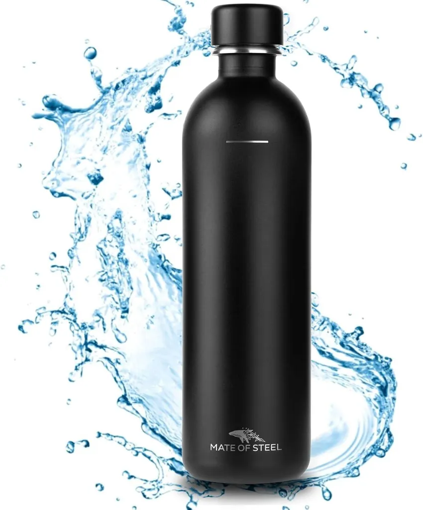 Bouteille Inox SodaStream Terra Fizzi Art 1L Lavable au Lave-Vaisselle