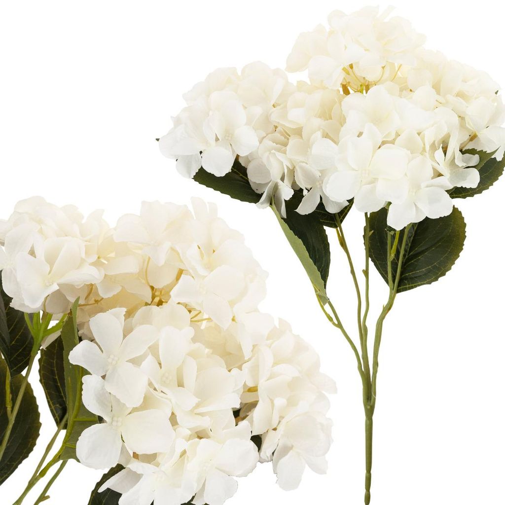 Hortensia Dense Beau Bouquet D'hortensias Fleurs Image du produit 