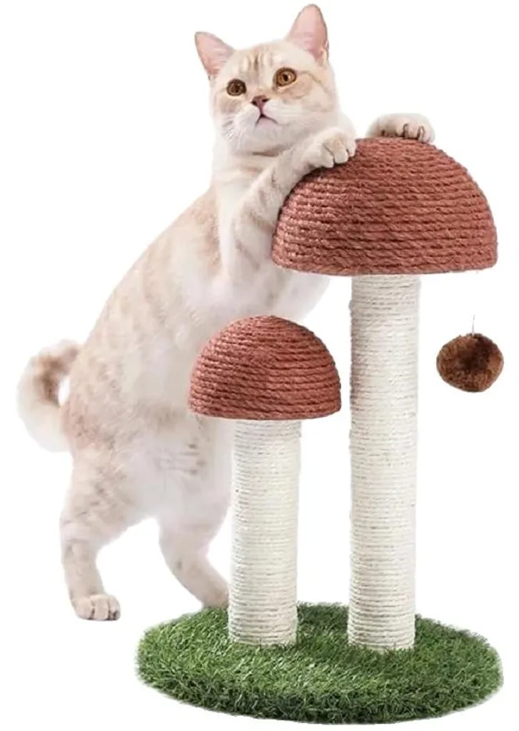 Petit arbre à chat champignon pour appartement et protection meubles