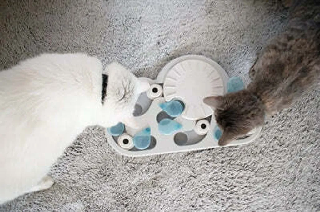 Jeu Interactif Rainy Day pour Chat - Plateau de Casse-Tête Niveau Expert