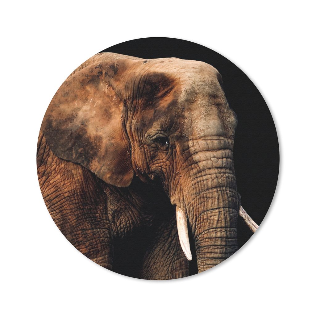 MuchoWow Mauspad Mousepad Elefant - Tiere - Braun 30x30 cm - Mousepads - Maus Mat - Pad - Mausunterlage - Tischunterlage - Schreibtischmatten