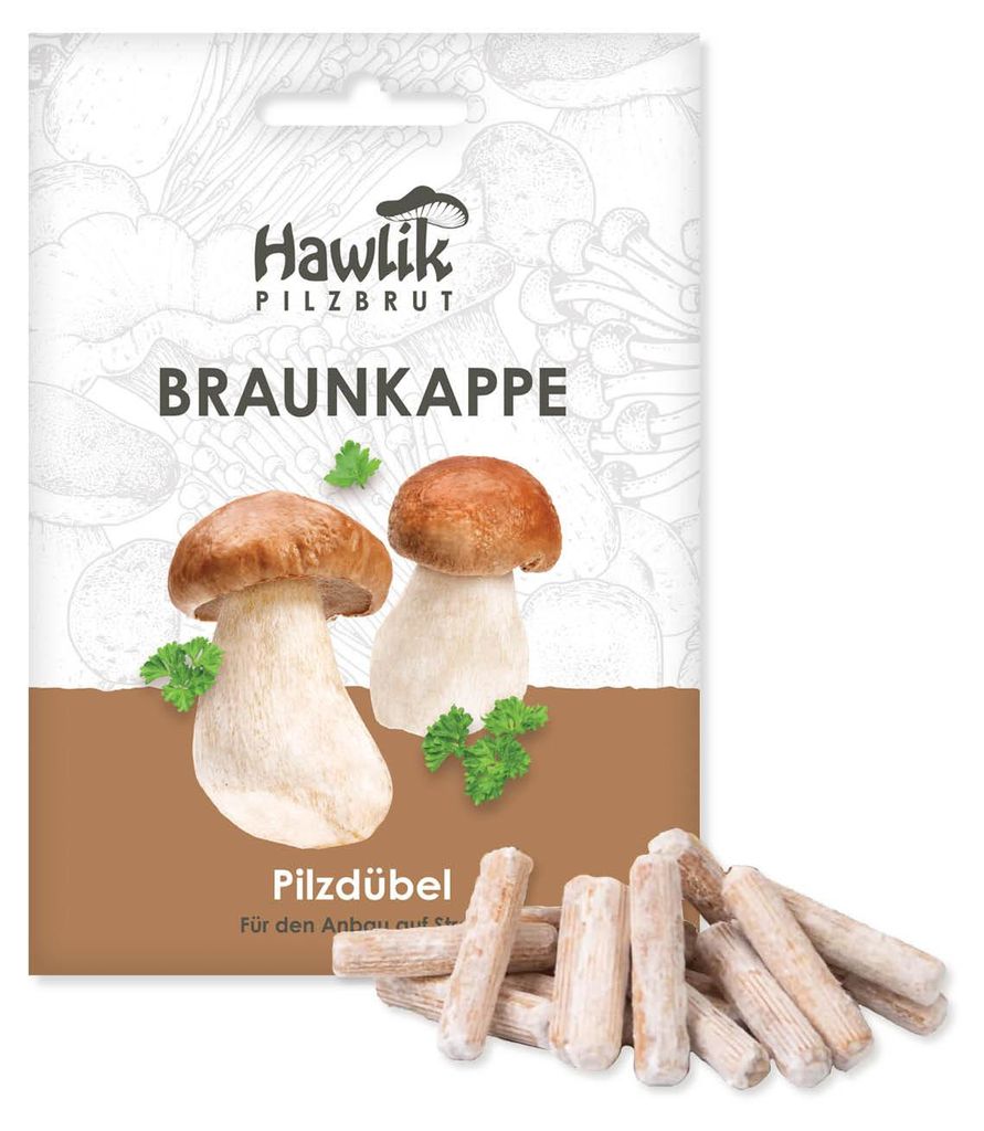 Hawlik Pilzbrut Braunkappe Dübel – 20 Pilzdübel auf Stroh, Produktbild 