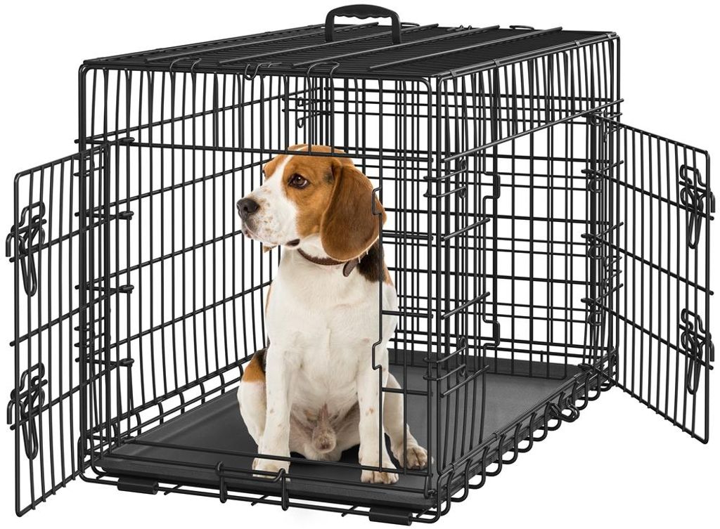 A beagle dog sits inside a black metal dog crate with two doors open.