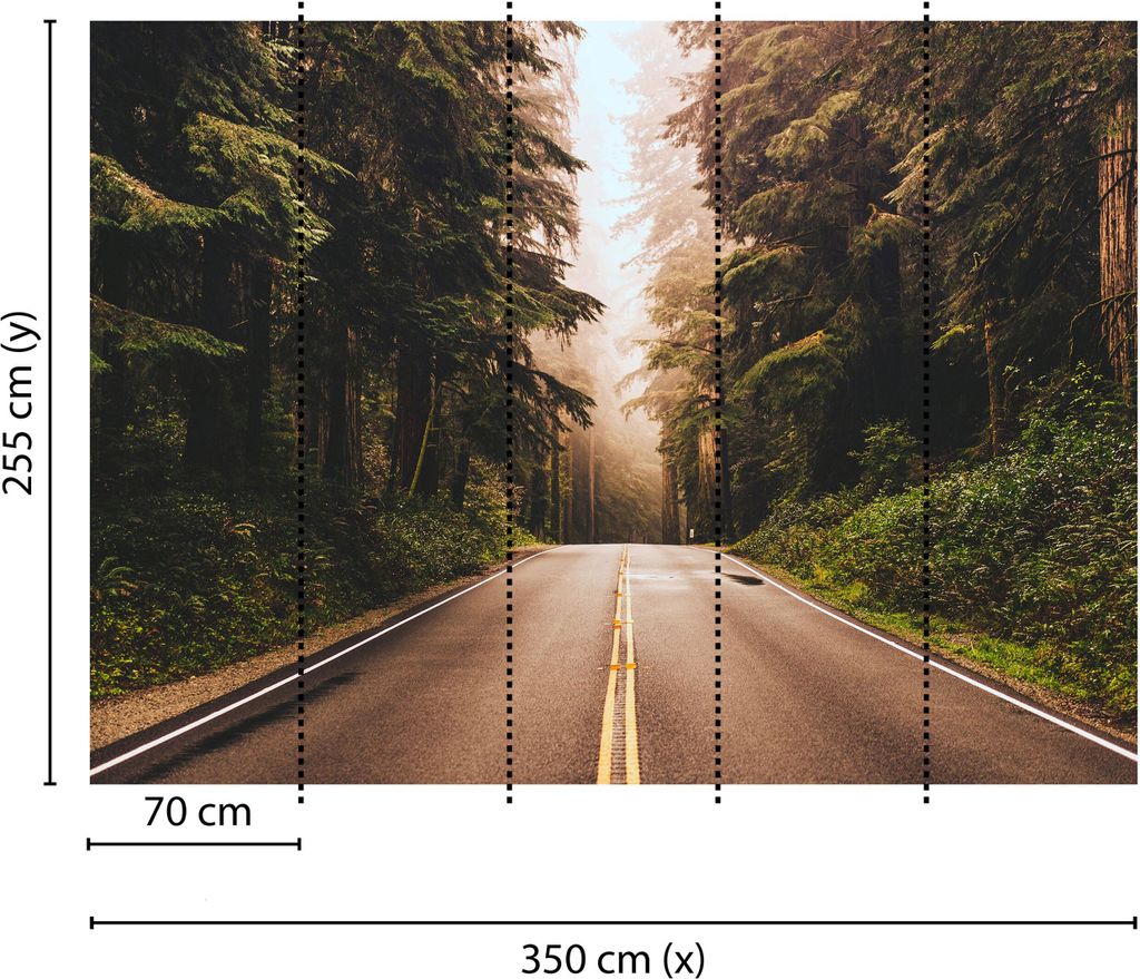 Tadessi Fototapete | Wald | 3.50 m x 2.55 m | Braun | Grün | Wandbild | Digitaldruck