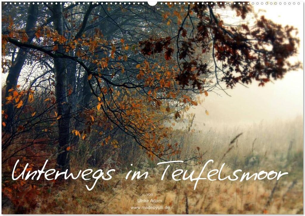 Unterwegs im Teufelsmoor (Wandkalender 2026 DIN A2 quer), CALVENDO Monatskalender