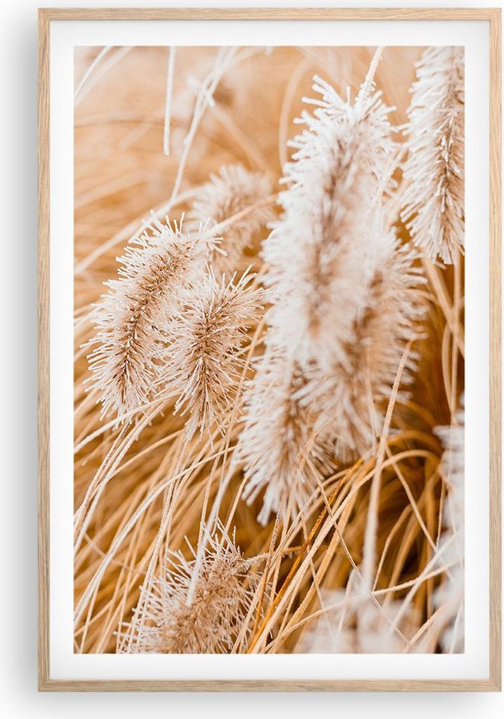 Gerahmtes Poster - Rahmen in heller Eiche - Gras Boho Licht - 61x91,5 cm - Wand Bild - Wanddeko - Wandbilder - Kunstposter - Wandposter - Bilderrah...