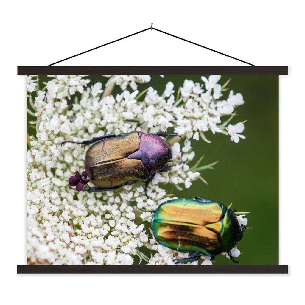 MuchoWow Textilposter Käfer - Blume - Bunt 60x45 cm mit schwarzem Rahmen - Poster Schlafzimmer