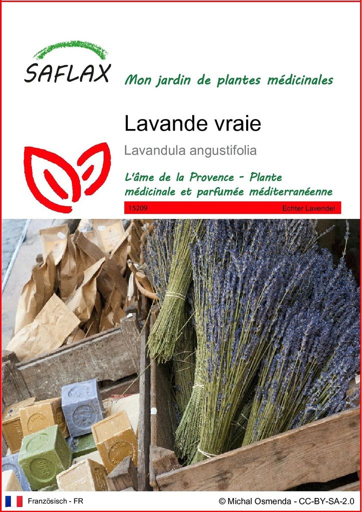SAFLAX  - Lavande vraie - 150 graines - Lavandula Image du produit 