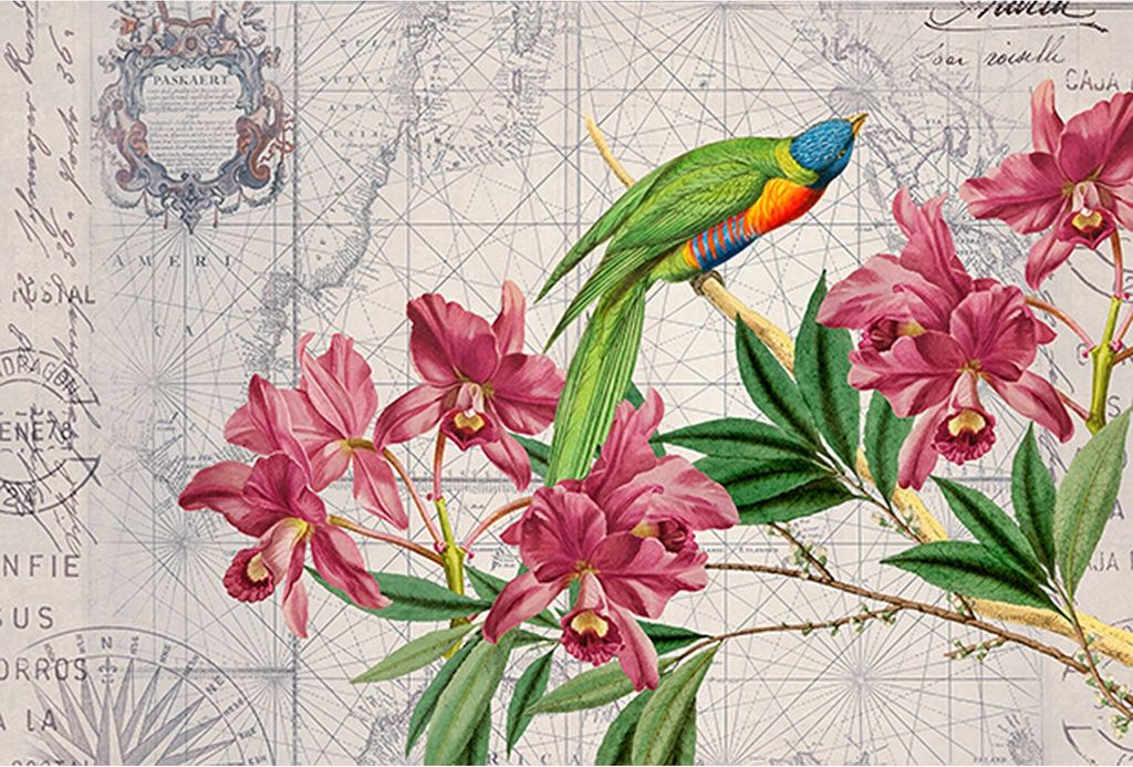 Tadessi Fototapete | Vögel | 4.00 m x 2.70 m | Grün | Rosa | Wandbild | Digitaldruck