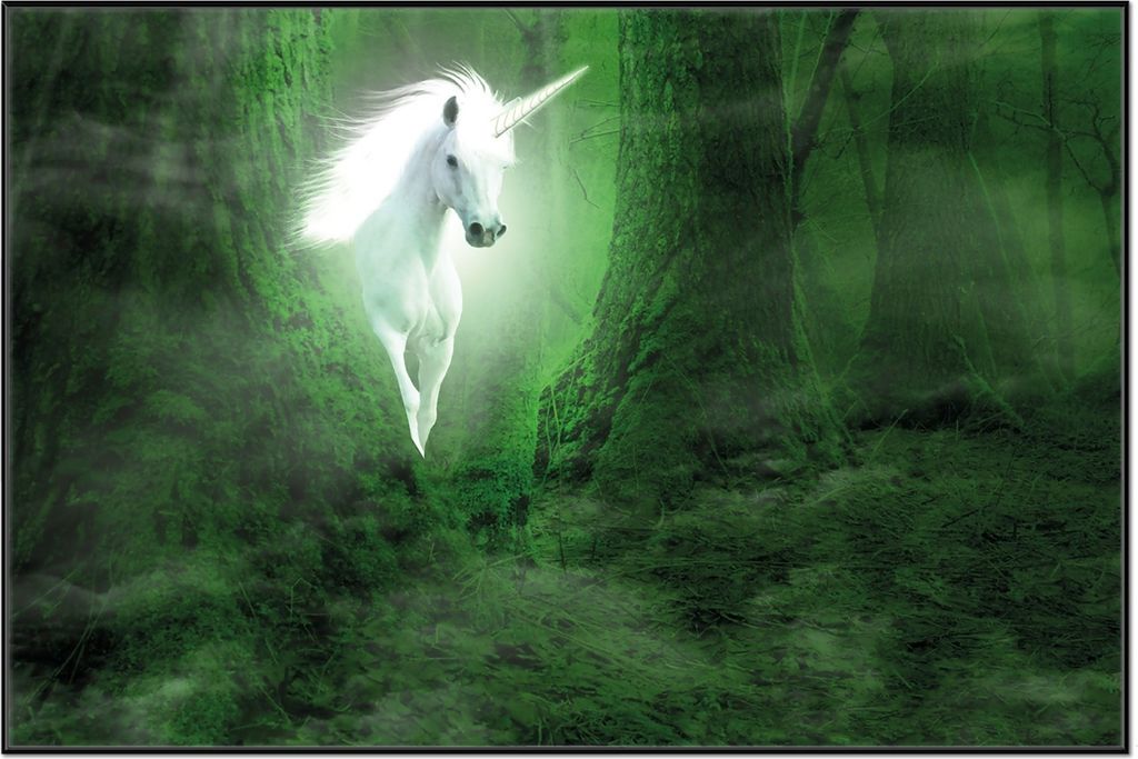 Wallario Wandbild Weißes Einhorn im grünen Wald, Größe: 61 x 91,50 cm, Poster mit schwarzem Aluminiumrahmen