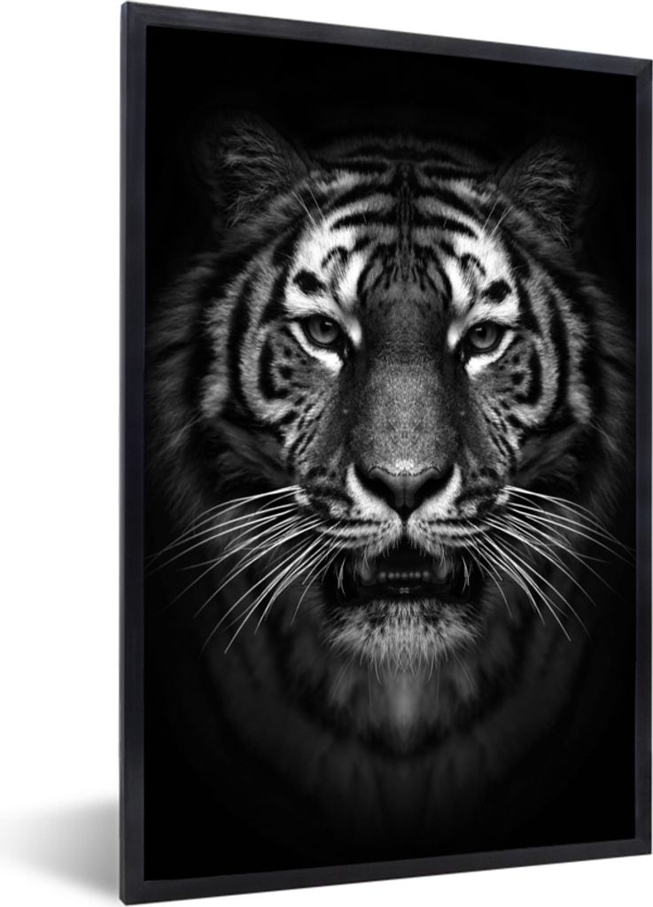 MuchoWow Gerahmtes Poster Tiger - Tiere - Schwarz - Weiß - Porträt - Wild 20x30 cm - Poster mit Schwarzem Bilderrahmen Wandposter Rahmen Foto B...