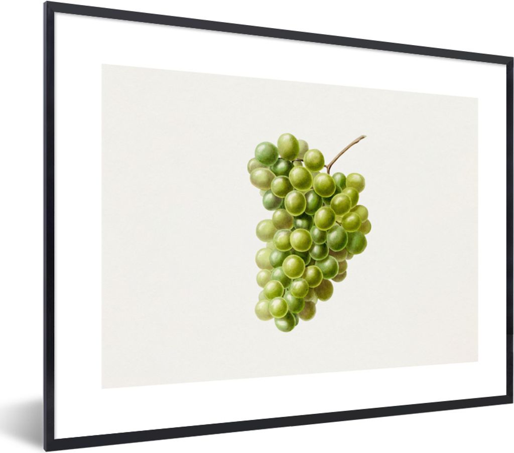 MuchoWow Gerahmtes Poster Weintrauben - Traube - Obst 40x30 cm - Poster mit Schwarzem Bilderrahmen Wandposter Rahmen Foto Bilder - Kunstposter - ...