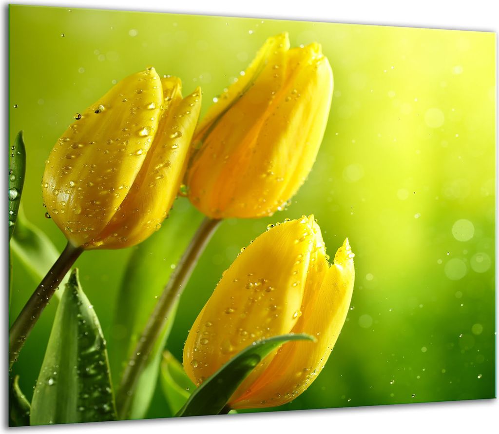 Herdabdeckplatten Glaskeramikkochfeld-Abdeckung Spritzschutz Glas 60x52cm Tulpen