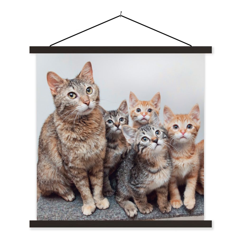 MuchoWow Textilposter Katze - Kätzchen - Fell 60x60 cm mit schwarzem Rahmen - Posteraufhänger