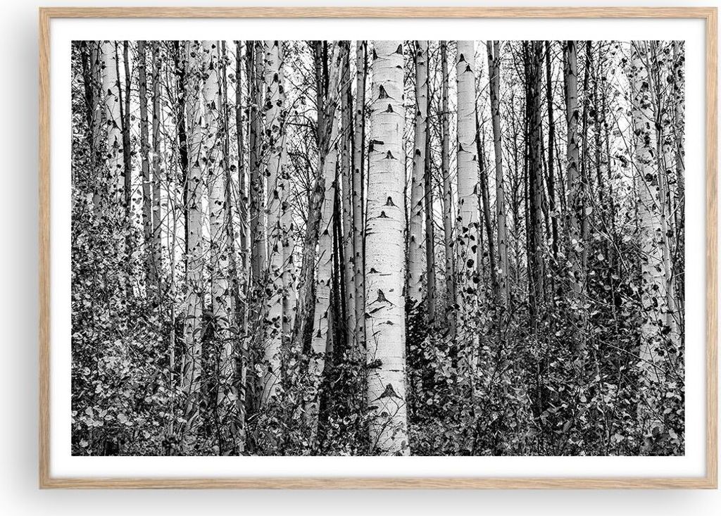 Gerahmtes Poster - Rahmen in heller Eiche - Birken Wald Monochrom - 100x70 cm - Wand Bild - Wanddeko - Wandbilder - Kunstposter - Wandposter - Bild...
