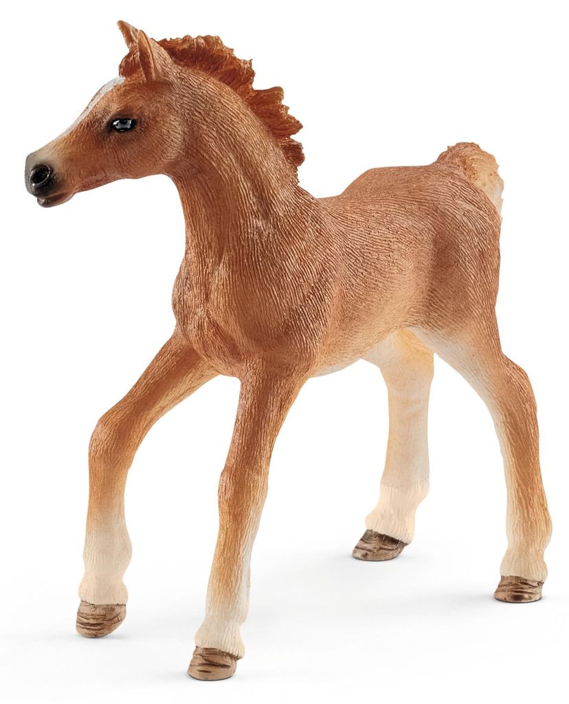 schleich HORSE CLUB 42361, 5 lat(a), Wielobarwny, Plastik Zdjęcie produktu 