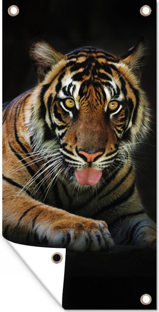 MuchoWow 30x60 cm Outdoor-Poster Gartendeko Sichtschutz Garten Poster für den Garten Tiger - Schwarz - Rest