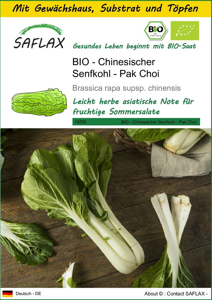 SAFLAX Anzucht Set - BIO - Chinesischer Senfkohl - Pak Choi - Brassica rapa supsp. chinensis - 300 Samen - Mit Mini-Gewächshaus, Anzuchtsubstrat u...