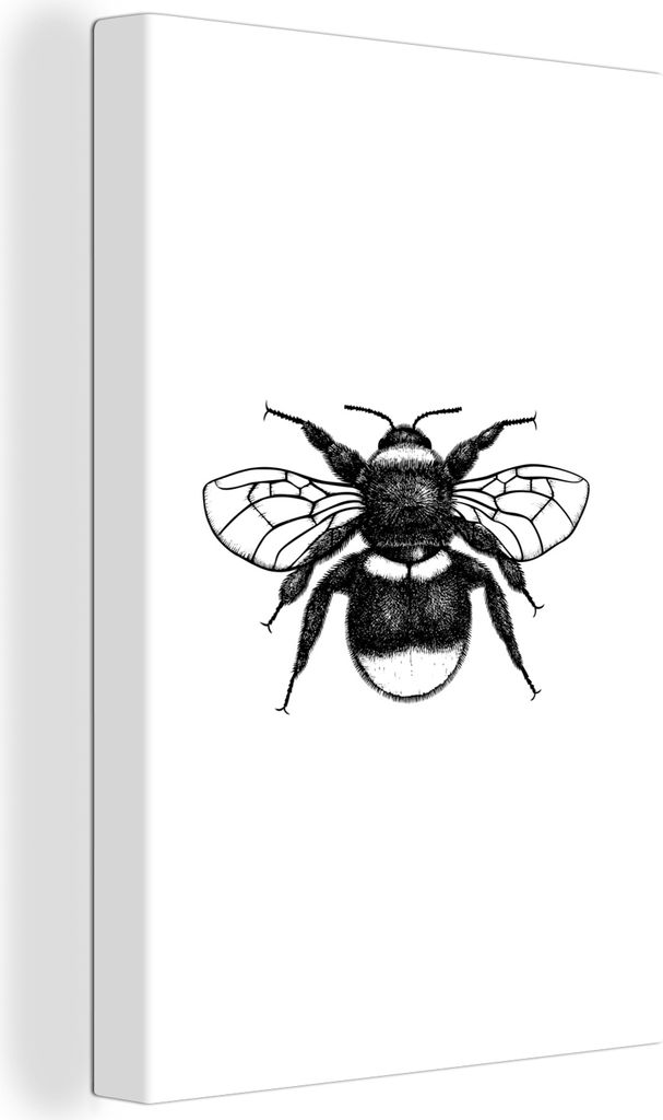 OneMillionCanvasses - Leinwandbilder - 90x140 cm, Hummel - Botanisch - Retro - Insekten, Wandbilder Kunstdruck Wanddekoration - Foto auf Leinwand...