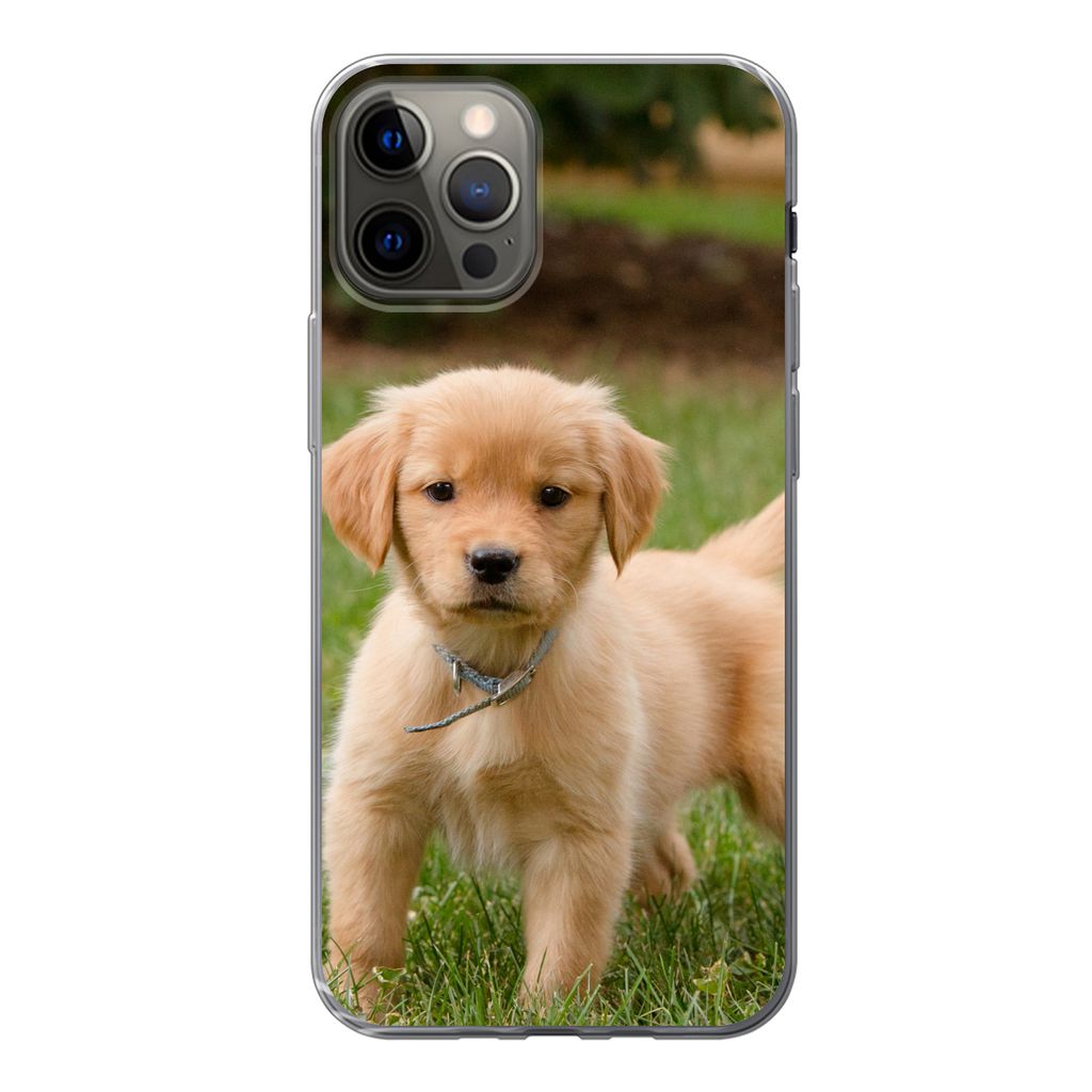MuchoWow Handyhülle Schutzhülle Hülle für iPhone 12 Pro Golden Retriever Welpe im grünen Gras Silikon Softcase Handy Hülle - Abdeckung