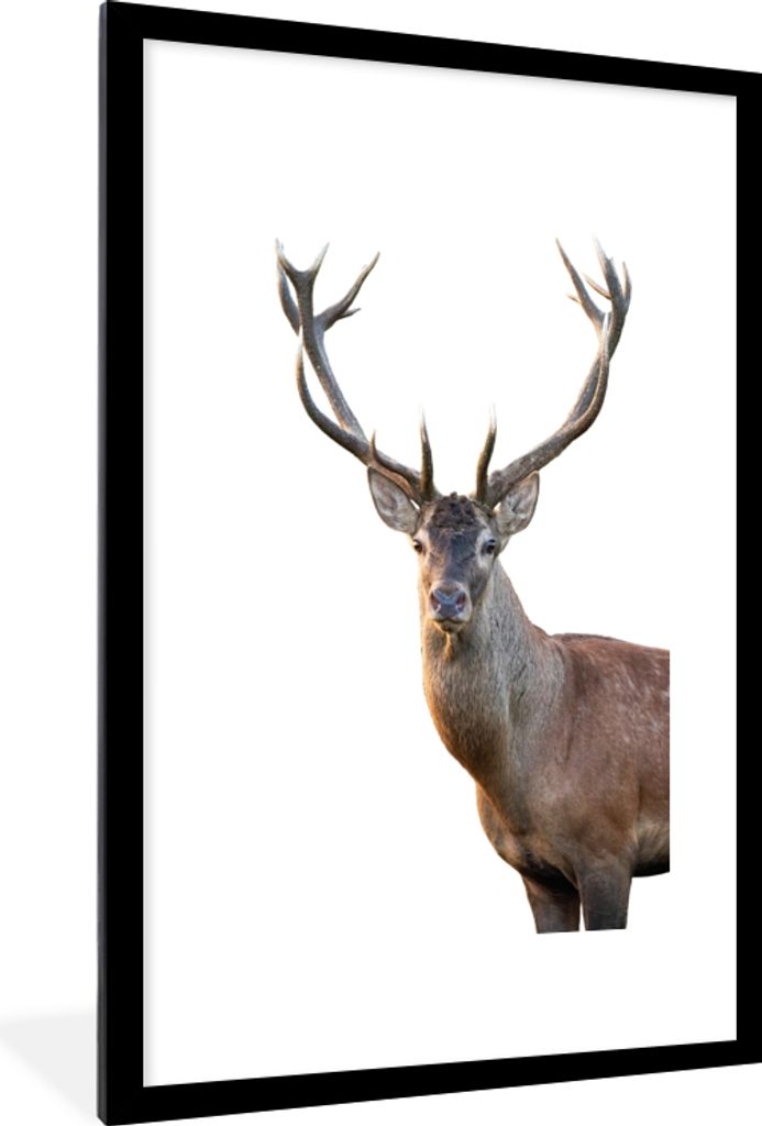 MuchoWow MuchoWow Gerahmtes Poster Hirschgeweih weiß 60x90 cm - Poster mit zchwarzem Bilderrahmen - Dekoration - Wandposter Wohnzimmer - Hochw...