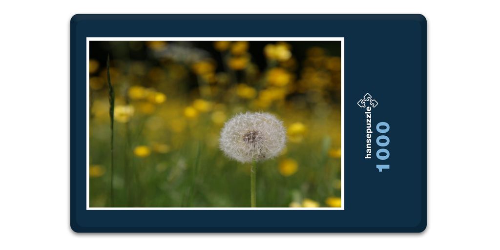 hansepuzzle 19418 - Pusteblume Puzzle, 1000 Teile, Natur, 60,0 x 46,0cm mit hochwertiger Aufbewahrung, Kartonbox und wiederverschließbarem Beutel