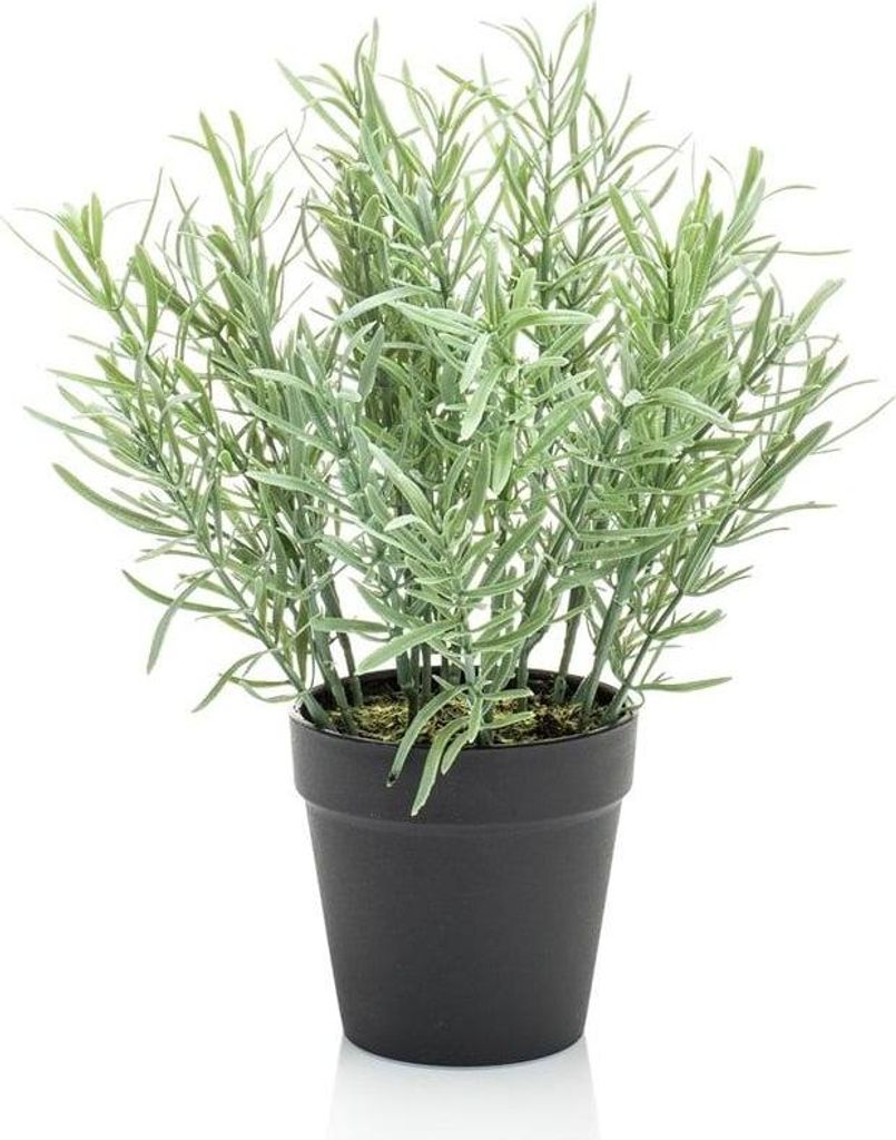 artplants.de Künstlicher Rosmarin Whoopi im Dekotopf, grün, 25cm - Künstliche Küchenkräuter