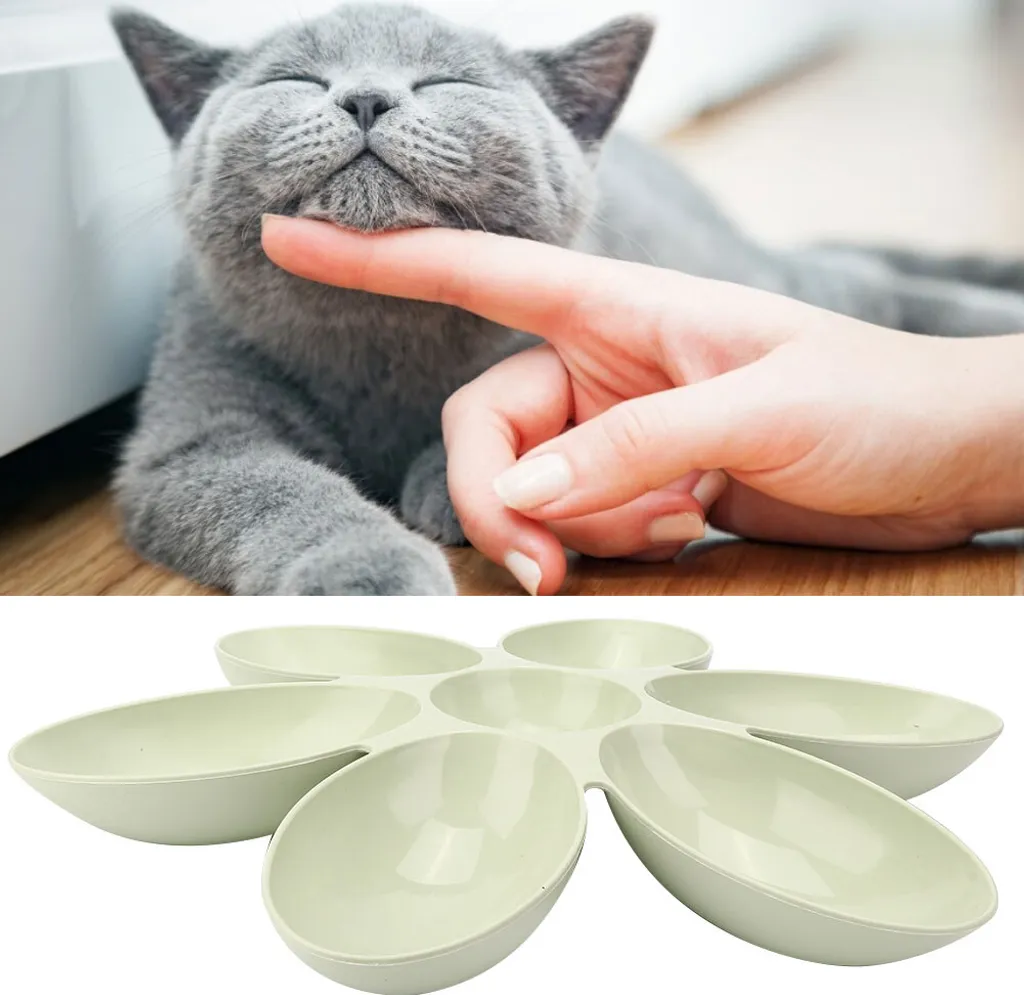 Gamelle PP Robuste Design Fleur - Anti-Dérapant Vert Chien Chat