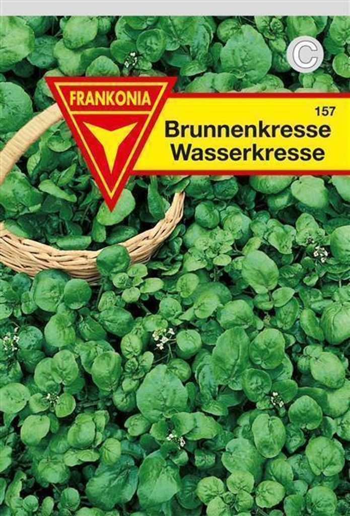 Brunnenkresse