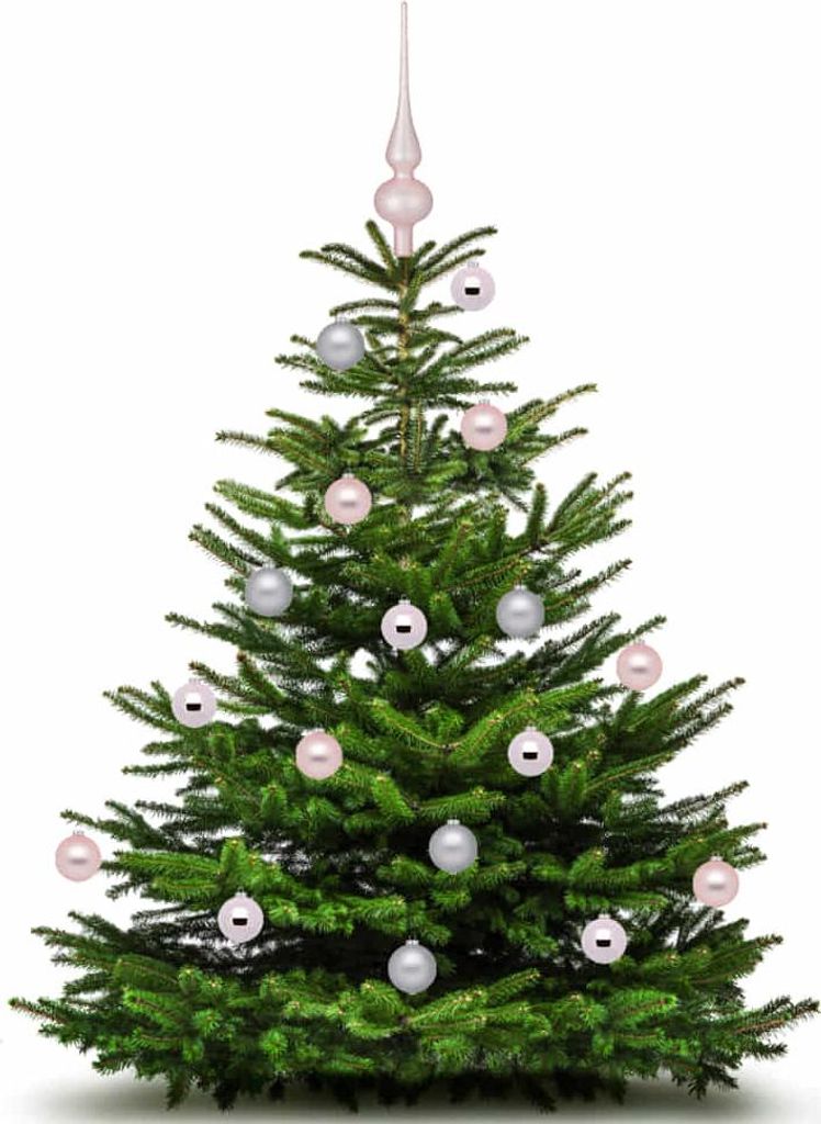 Christbaumspitze 26cm Soft Simplicity light rose matt