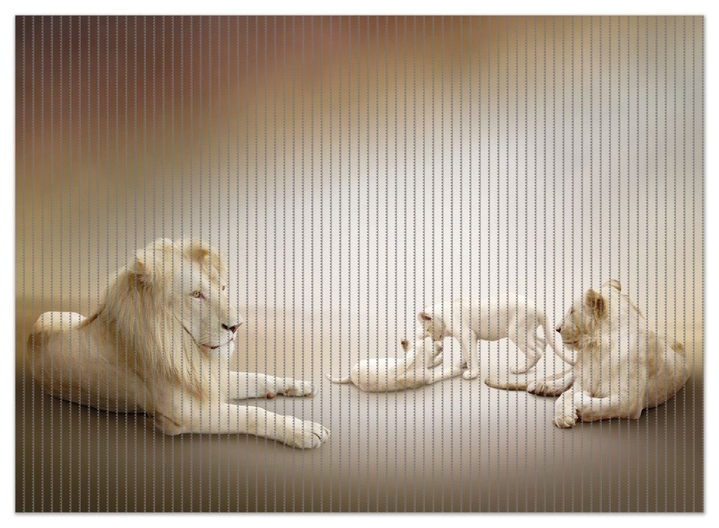 Wallario Duschmatte Antirutschmatte Badmatte Fußmatte Löwenfamilie mit Jungtieren, Größe ca. 90 x 65 cm