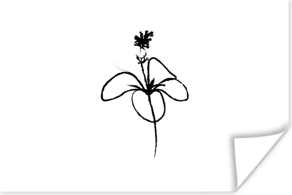 MuchoWow Poster Blumen - Linienkunst - Hibiskus 60x40 cm - Schlafzimmerdekoration