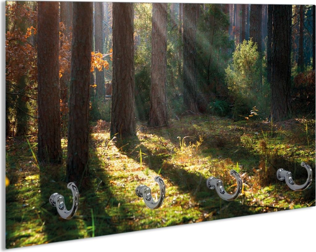 Wallario Schlüsselbrett aus Glas, Motiv: Sonnenstrahlen im Herbstwald, 30 x 20 cm mit 4 Haken