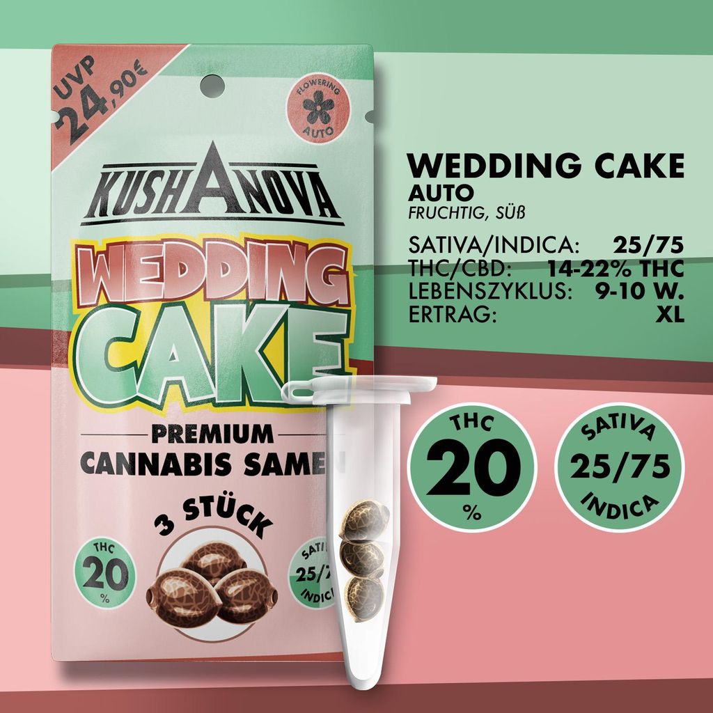 Kushanova Saatgut Set - Wedding Cake