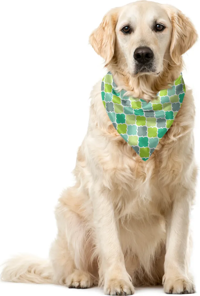 ABAKUHAUS Bandana per animali domestici Teal, Vibrant Trellis Quatrefoil, 40x40 cm, multicolore