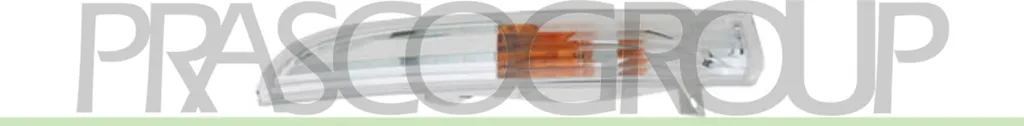 PRASCO VG6204314 - Indicatore Sinistro 3C8953041 per Passat CC (357)