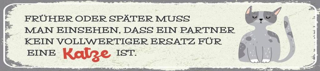 vianmo Blechschild 46x10 cm Kein ersatz für Katze