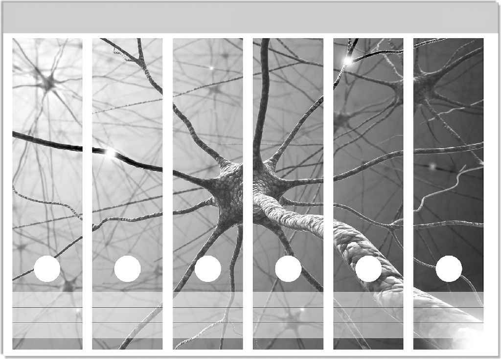 Wallario Ordnerrücken Sticker, selbstklebend für breite Ordner, 6 Stück, Motiv Menschliche Nervenzelle - schwarz weiß