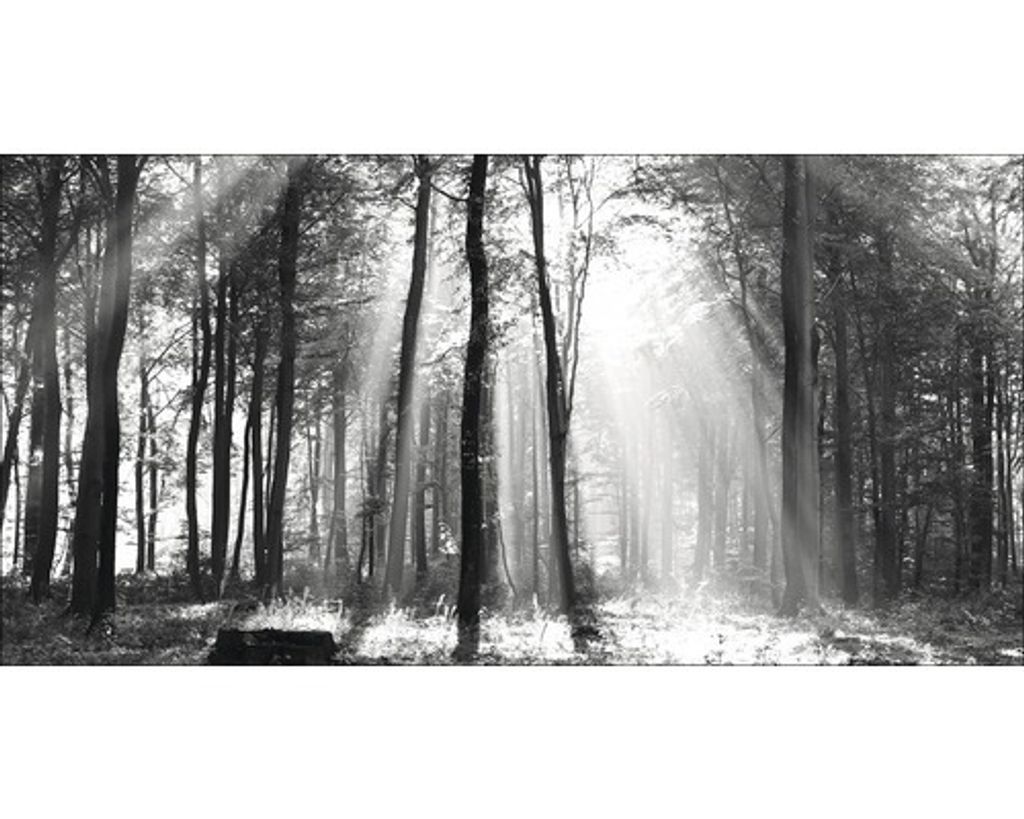 Giclée Leinwandbild Sun drenched forest I 160x80 cm