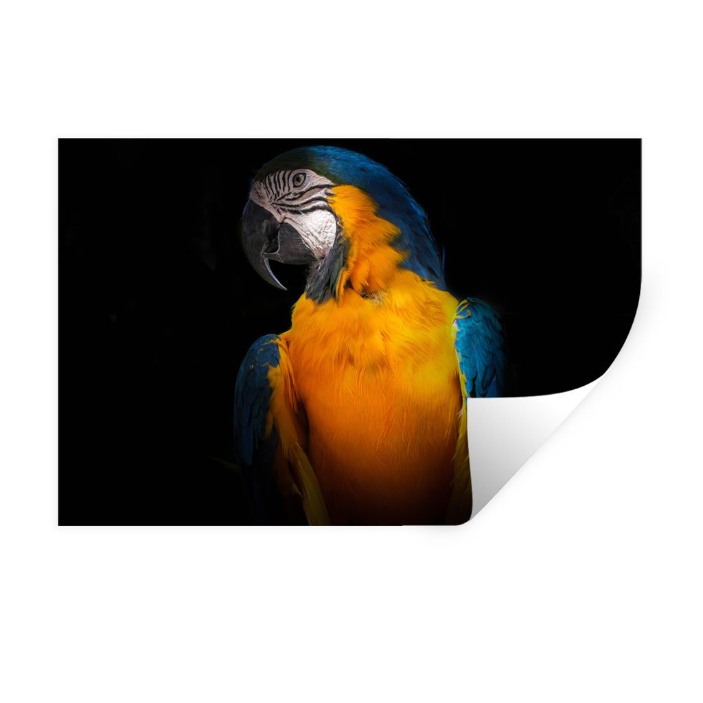 MuchoWow Wandtattoo Wandsticker Wandaufkleber Tiere - Papagei - Vogel 30x20 cm Selbstklebend und Repositionierbar - Wierderverwendbar - Selbstkle...