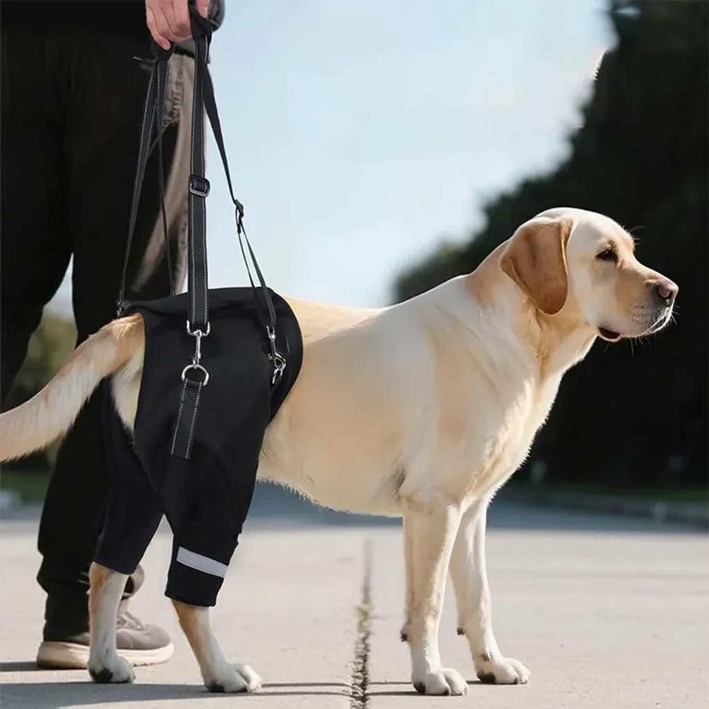 Supporto Posteriore Cane INF Taglia M - Riabilitazione e Post-Op - 4