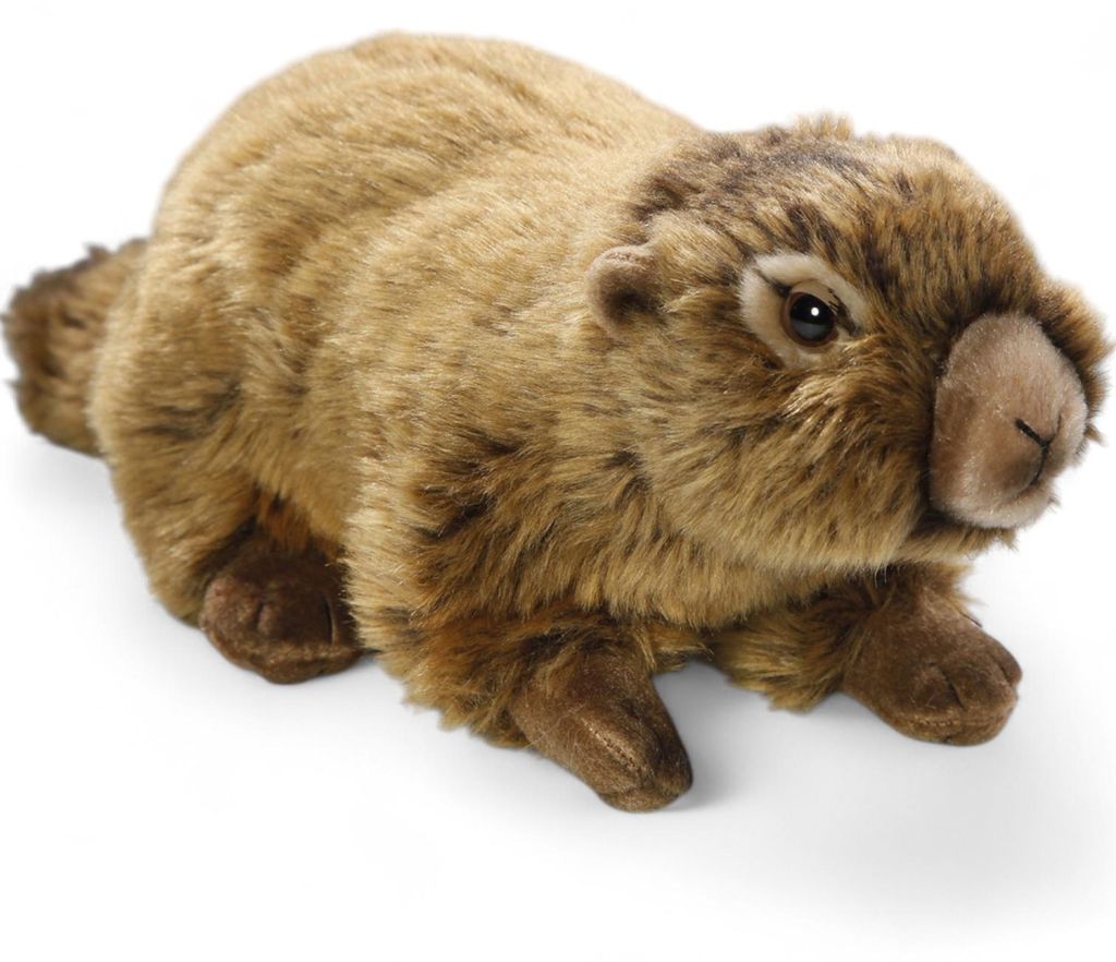 Carl Dick Murmeltier liegend ca. 25cm 2616 Kuscheltier, Produktbild 