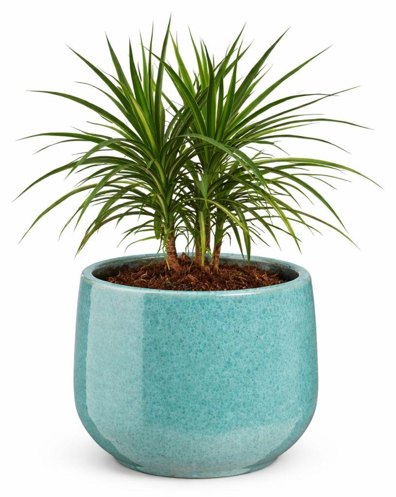 Mica Decorations Blumentopf / Blumentopf Venedig - Blau - Terrakotta - D22 x H18 cm