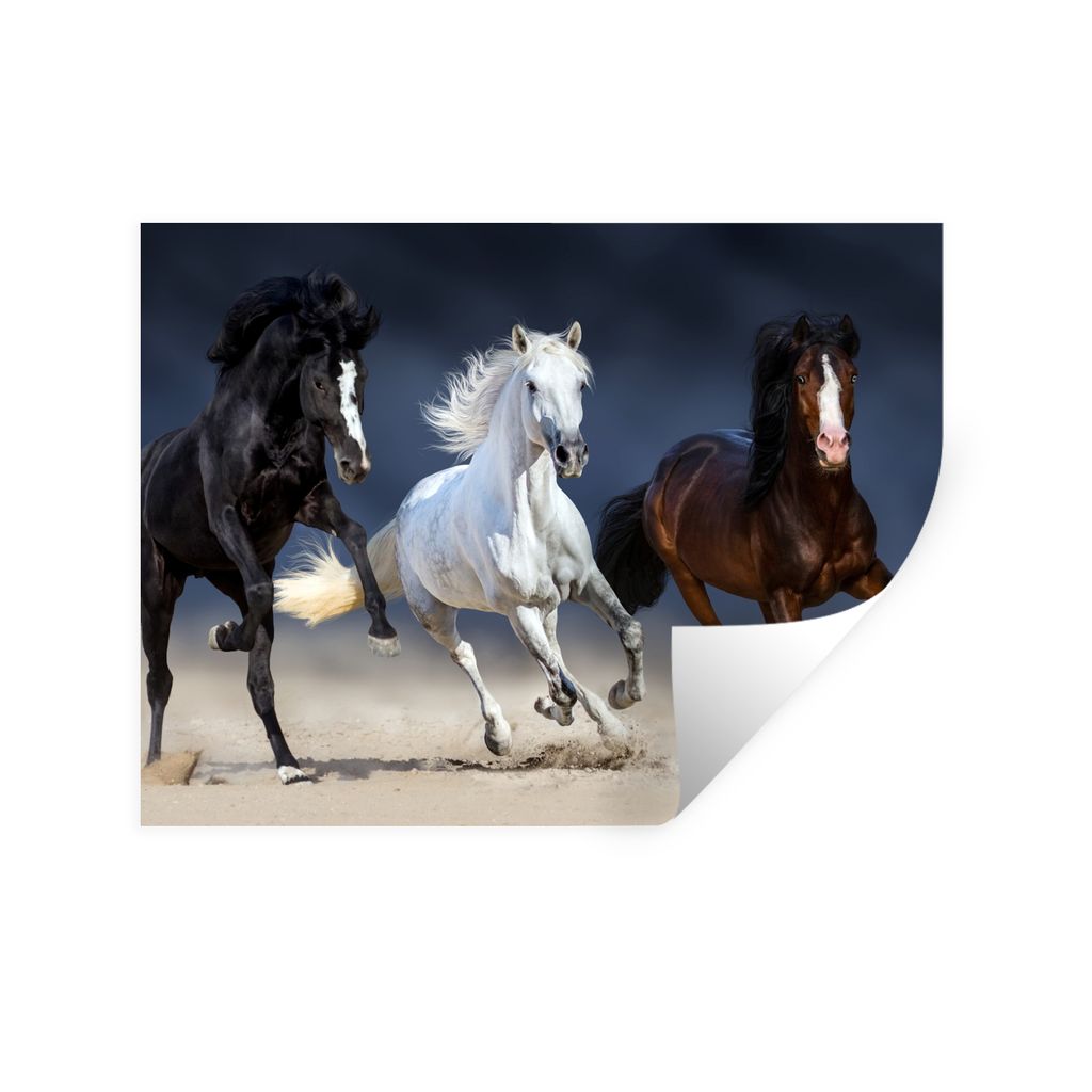 MuchoWow Wandtattoo Wandsticker Wandaufkleber Pferde - Tiere - Sand 80x60 cm Selbstklebend und Repositionierbar - Faltenfrei