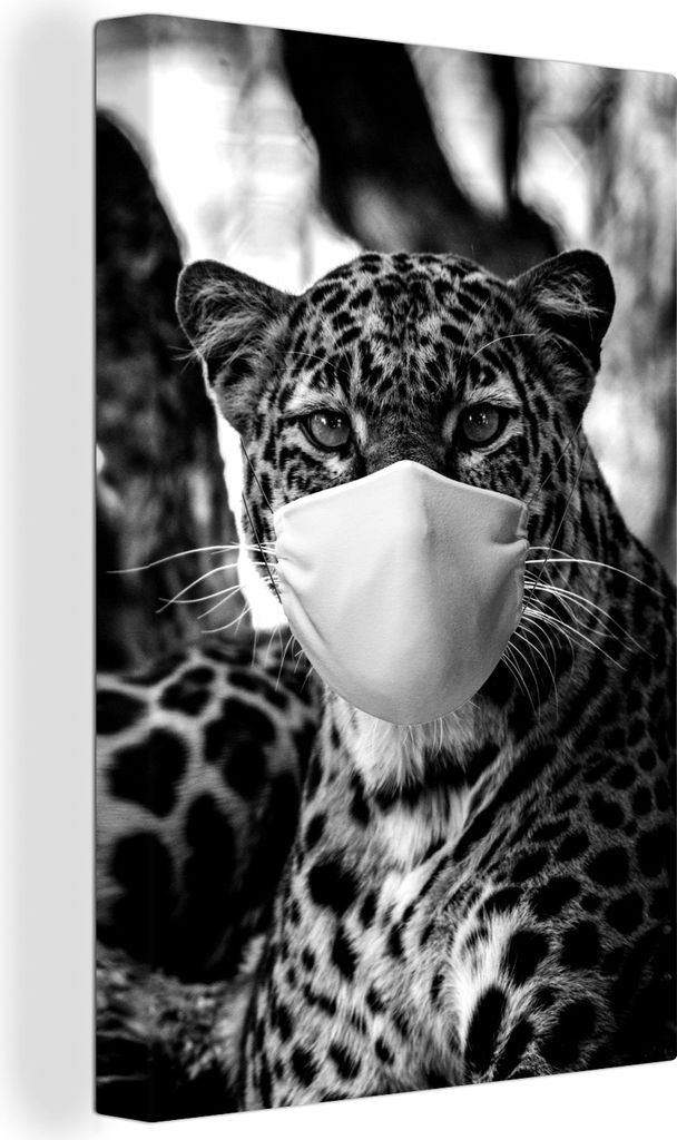 OneMillionCanvasses - Leinwandbilder - 90x140 cm, Gepard mit blauem Mund und strahlend blauen Augen - schwarz-weiß, Wandbilder Kunstdruck Wandde...
