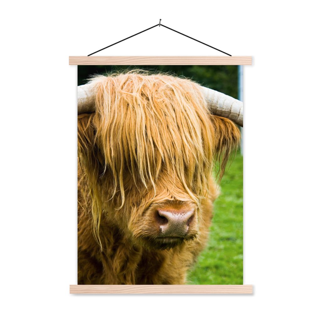 MuchoWow Textilposter Schottischer Highlander - Gras - Fell - Tiere - Kuh 40x53 cm mit holzfarbenen Rahmen - Schlafzimmer