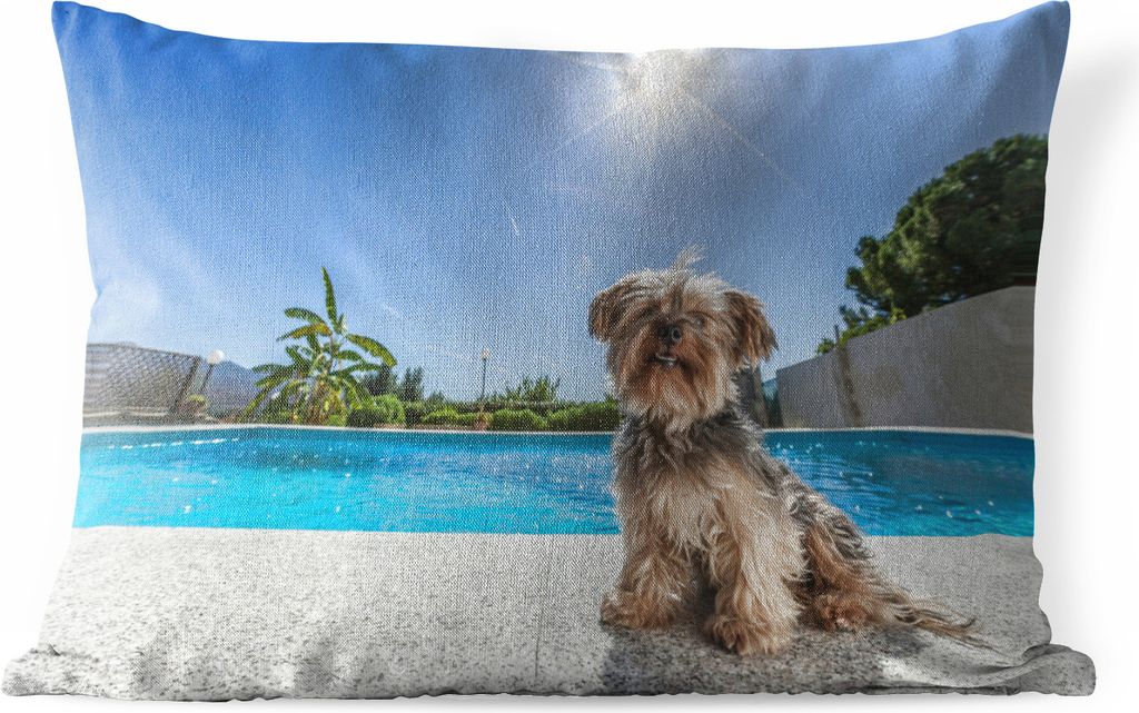 MuchoWow Outdoor Kissen - Yorkshire Terrier an einem Pool an einem sonnigen Tag - 60x40 cm - Wetterfest - Lounge Kissen - Zierkissen - Kissen fü...