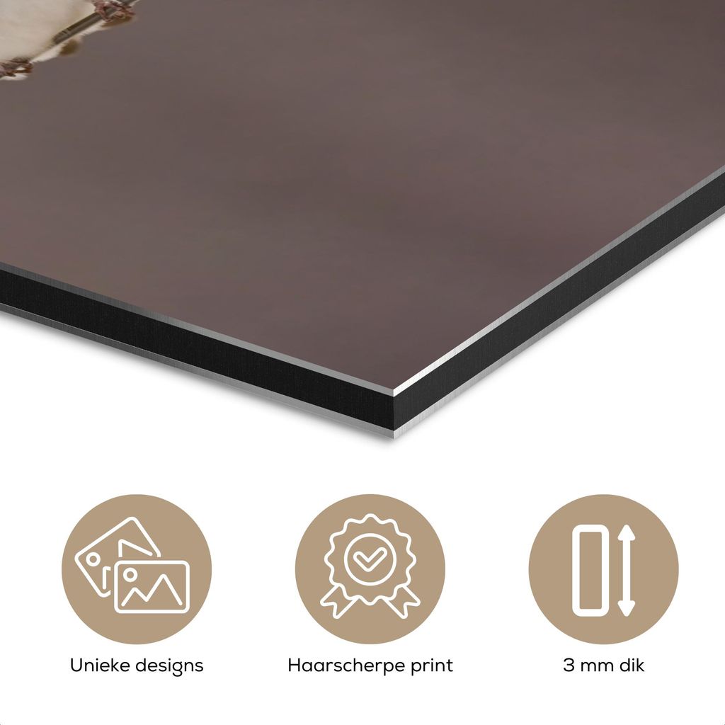 MuchoWow Wanddekoration Metall Metallbild Wandkunst 90x90 cm Vögel - Tiere - Gewinde - Porträt MuchoWow Aluminium Gemälde - Dekoration - Industr...