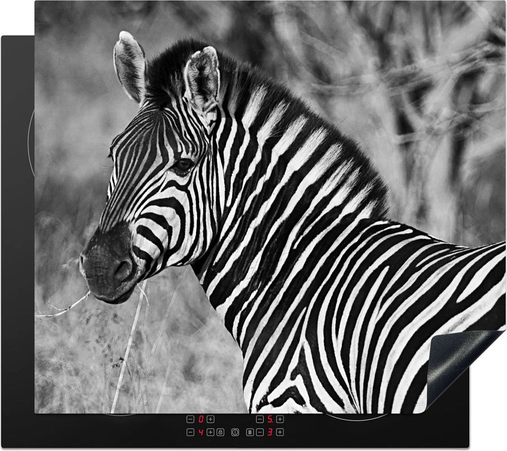 KitchenYeah Herdabdeckplatte Zebra-Porträt , 59x52cm, Küche Deko, Glaskeramikkochfeld Herdabdeckung, Abdeckplatte fùr Kochfeld