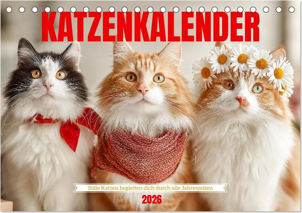 Katzenkalender - Süße Katzen begleiten dich durch alle Jahreszeiten (Tischkalender 2026 DIN A5 quer), CALVENDO Monatskalender